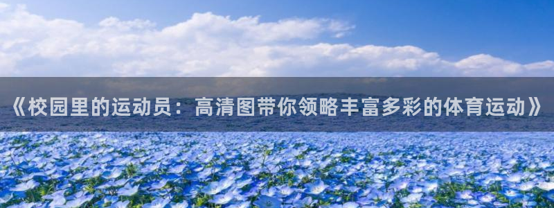 《校园里的运动员：高清图带你领略丰富多彩的体育运动》