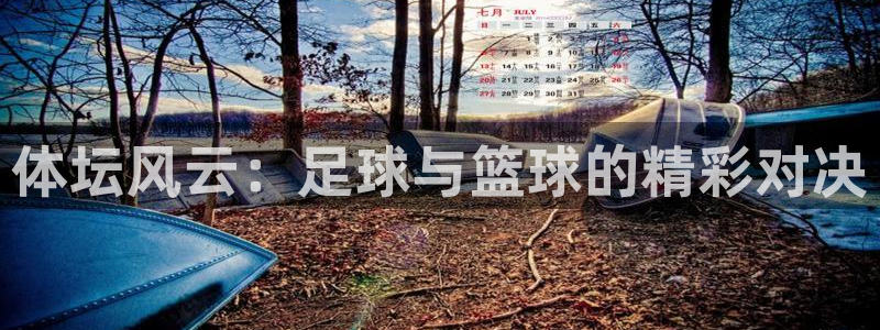 体坛风云：足球与篮球的精彩对决