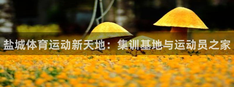 盐城体育运动新天地：集训基地与运动员之家