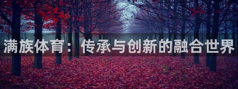 满族体育：传承与创新的融合世界