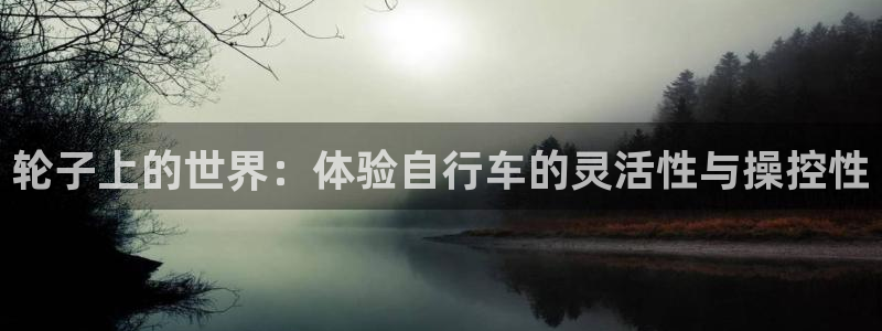 轮子上的世界：体验自行车的灵活性与操控性